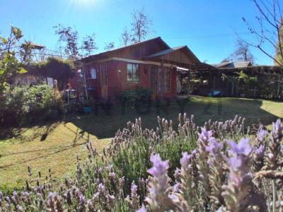 Talagante, Región Metropolitana De Santiago 00001, Chile