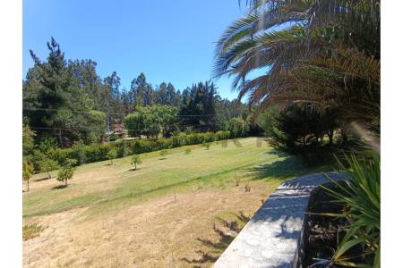 Melipilla, Región Metropolitana De Santiago 00001, Chile