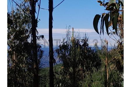 Curicó, Región Del Maule 00001, Chi-Lê