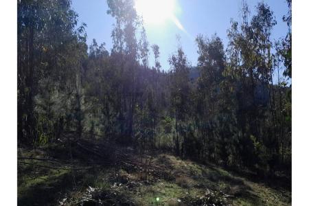 Curicó, Región Del Maule 00001, Chi-Lê