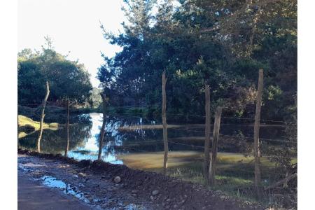 Curicó, Región Del Maule 00001, Chi-Lê