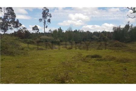 Llanquihue, Región De Los Lagos 00001, Chile