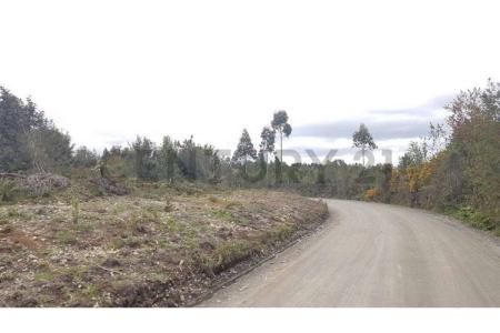 Llanquihue, Región De Los Lagos 00001, Chile