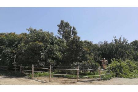 Elqui, Coquimbo 00001, 칠레