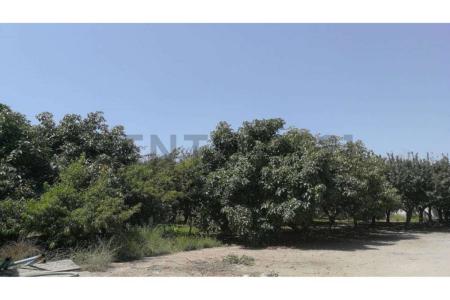 Elqui, Coquimbo 00001, 칠레