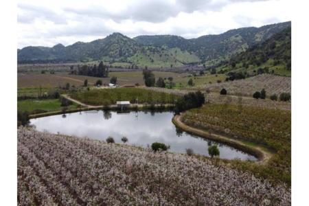 Curicó, Región del Maule 00001, Chile