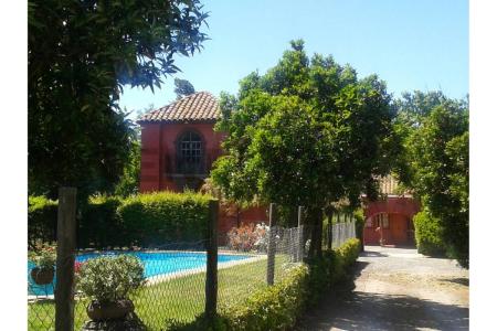 Curicó, Región Del Maule 00001, צ'ילה