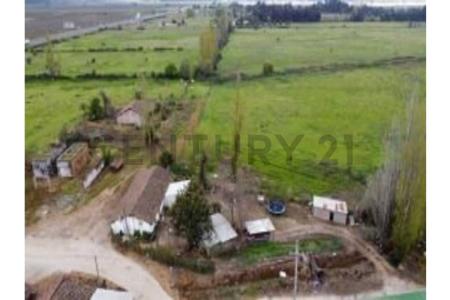 Curicó, Región Del Maule 00001, צ'ילה 