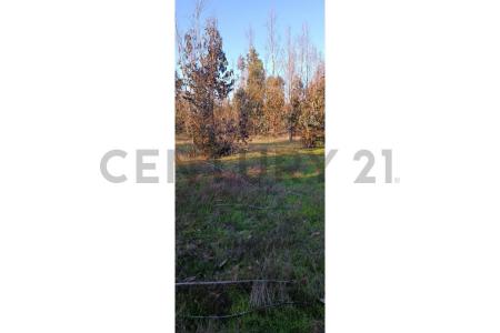 Cardenal Caro, Región Del Libertador Gral. Bernardo O’Higgins 00001, 智利