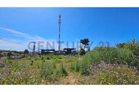 Concepción, Región Del Biobío 00001, Chile