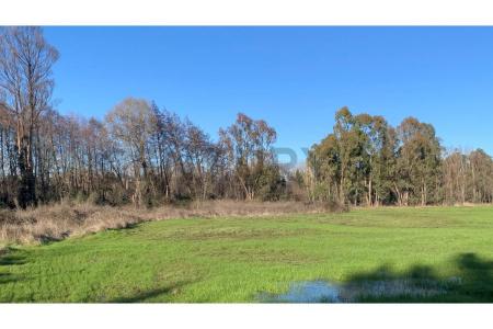 Biobío, Región Del Biobío 00001, צ'ילה