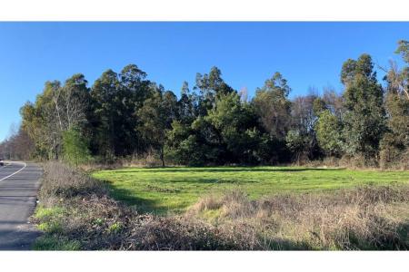 Biobío, Región Del Biobío 00001, צ'ילה