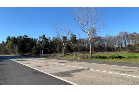 Biobío, Región Del Biobío 00001, 智利