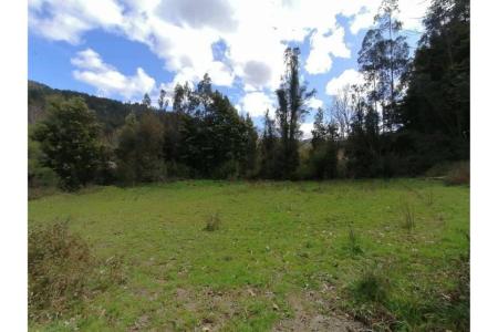 Concepción, Región Del Biobío 00001, Chili