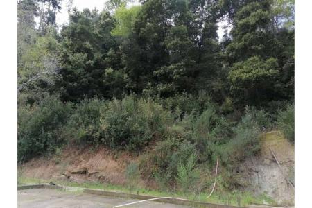Concepción, Región Del Biobío 00001, Chili
