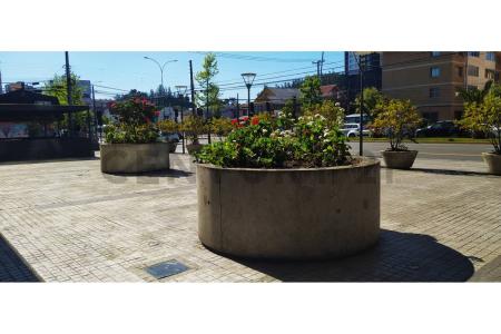 Concepción, Región Del Biobío 00001, Chile