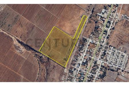 Limarí, Coquimbo 00001, 智利