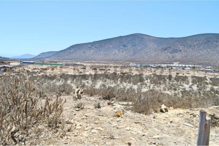 Elqui, Coquimbo 00001, Chili