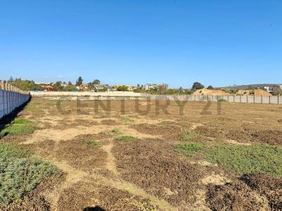 Elqui, Coquimbo 00001, Chili