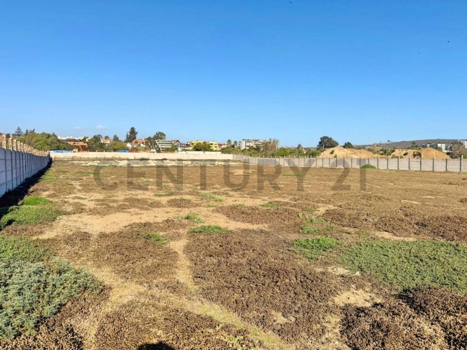 Elqui, Coquimbo 00001, Chi-Lê