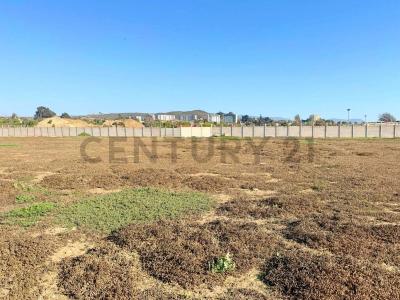 Elqui, Coquimbo 00001, Chi-Lê