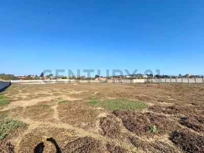 Elqui, Coquimbo 00001, Chi-Lê