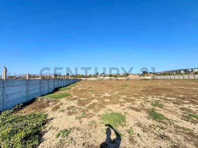 Elqui, Coquimbo 00001, Chi-Lê