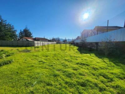 Maipo, Región Metropolitana De Santiago 00001, צ'ילה 