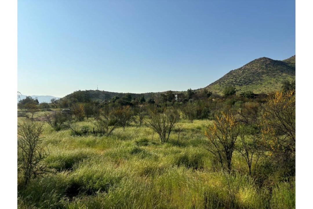 Chacabuco, Región Metropolitana De Santiago 00001, Şili