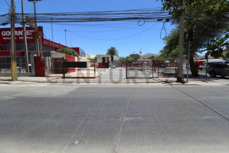 Copiapó, Atacama 00001, 智利