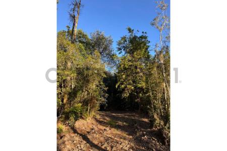 Llanquihue, Región De Los Lagos 00001, Chile