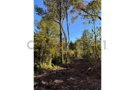 Llanquihue, Región De Los Lagos 00001, Chile