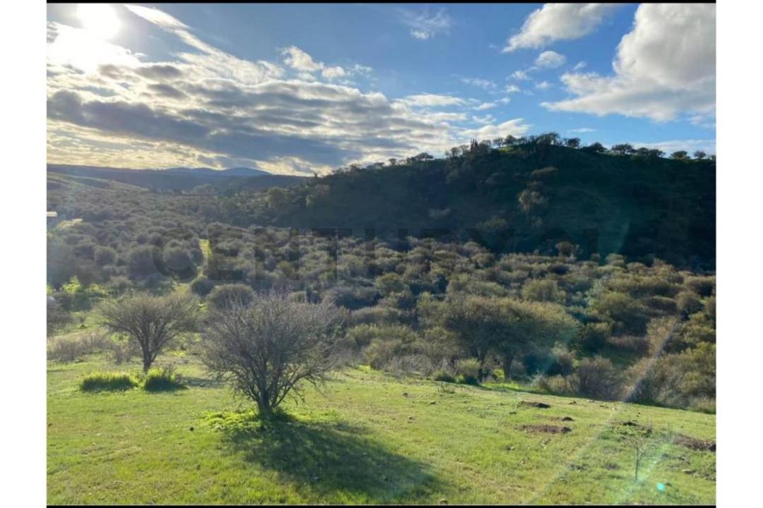 Melipilla, Región Metropolitana De Santiago 00001, 智利