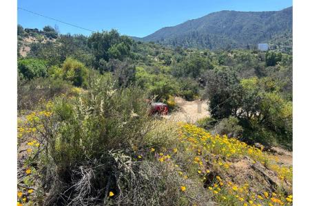 Curacaví, Región Metropolitana De Santiago 00001, Chili