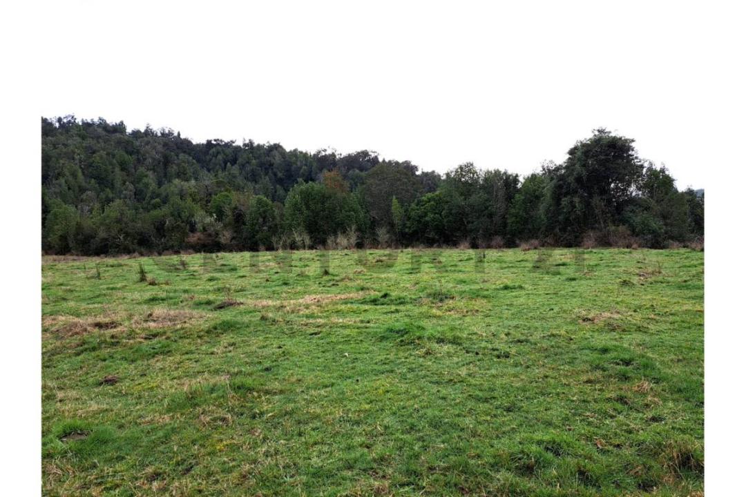 Llanquihue, Región De Los Lagos 00001, 智利