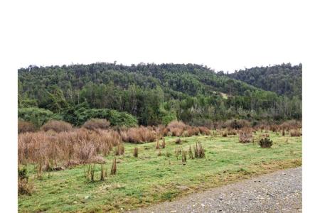 Llanquihue, Región de Los Lagos 00001, Chile