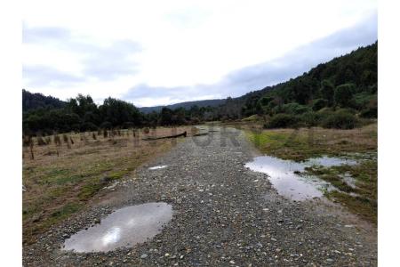 Llanquihue, Región De Los Lagos 00001, 智利