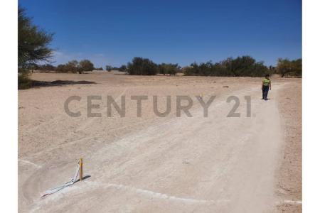 Tamarugal, Tarapacá 00001, Chile