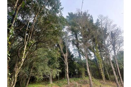 Cautín, Región de la Araucanía 00001, Chile