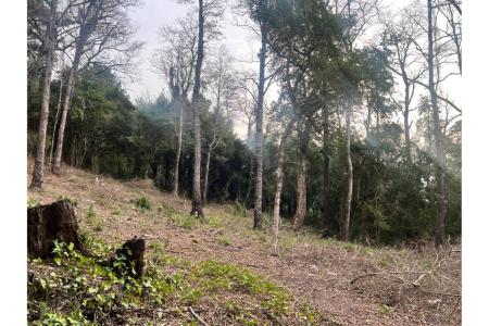 Cautín, Región De La Araucanía 00001, Chile