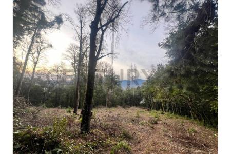 Cautín, Región De La Araucanía 00001, Chile
