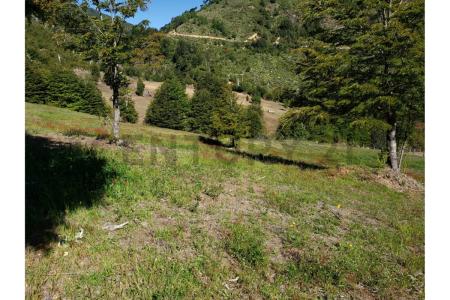 Cautín, Región de la Araucanía 00001, Chile