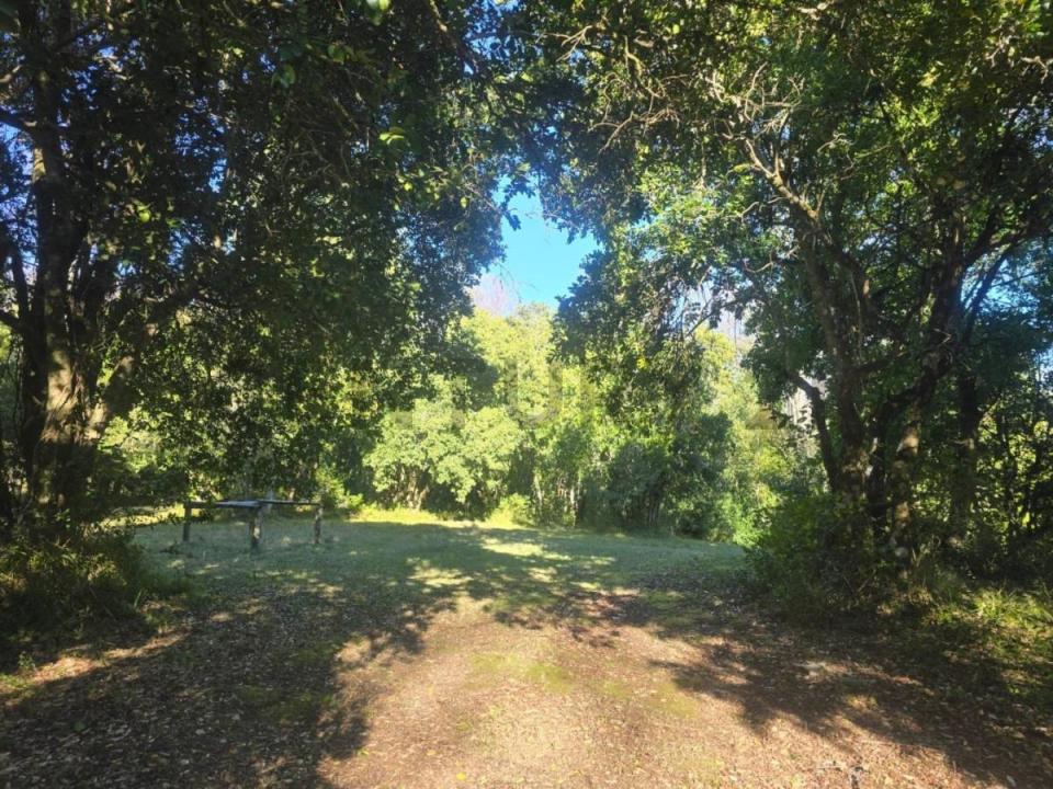 Cautín, Región De La Araucanía 00001, Chile