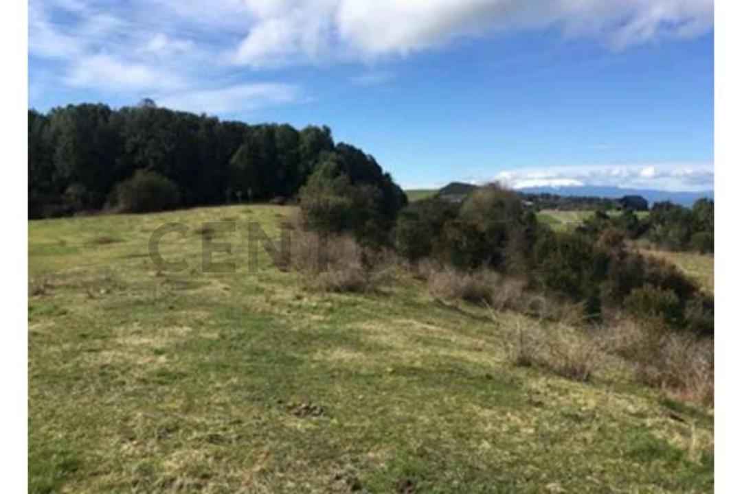 Llanquihue, Región De Los Lagos 00001, 智利