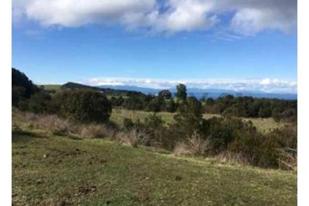 Llanquihue, Región De Los Lagos 00001, 智利