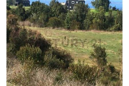 Llanquihue, Región De Los Lagos 00001, 智利