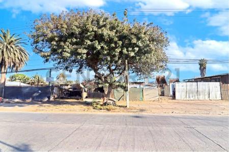 Elqui, Coquimbo 00001, Chi-Lê