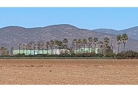 Elqui, Coquimbo 00001, צ'ילה