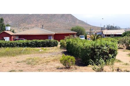 Elqui, Coquimbo 00001, צ'ילה