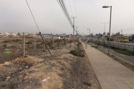 Elqui, Coquimbo 00001, Chili